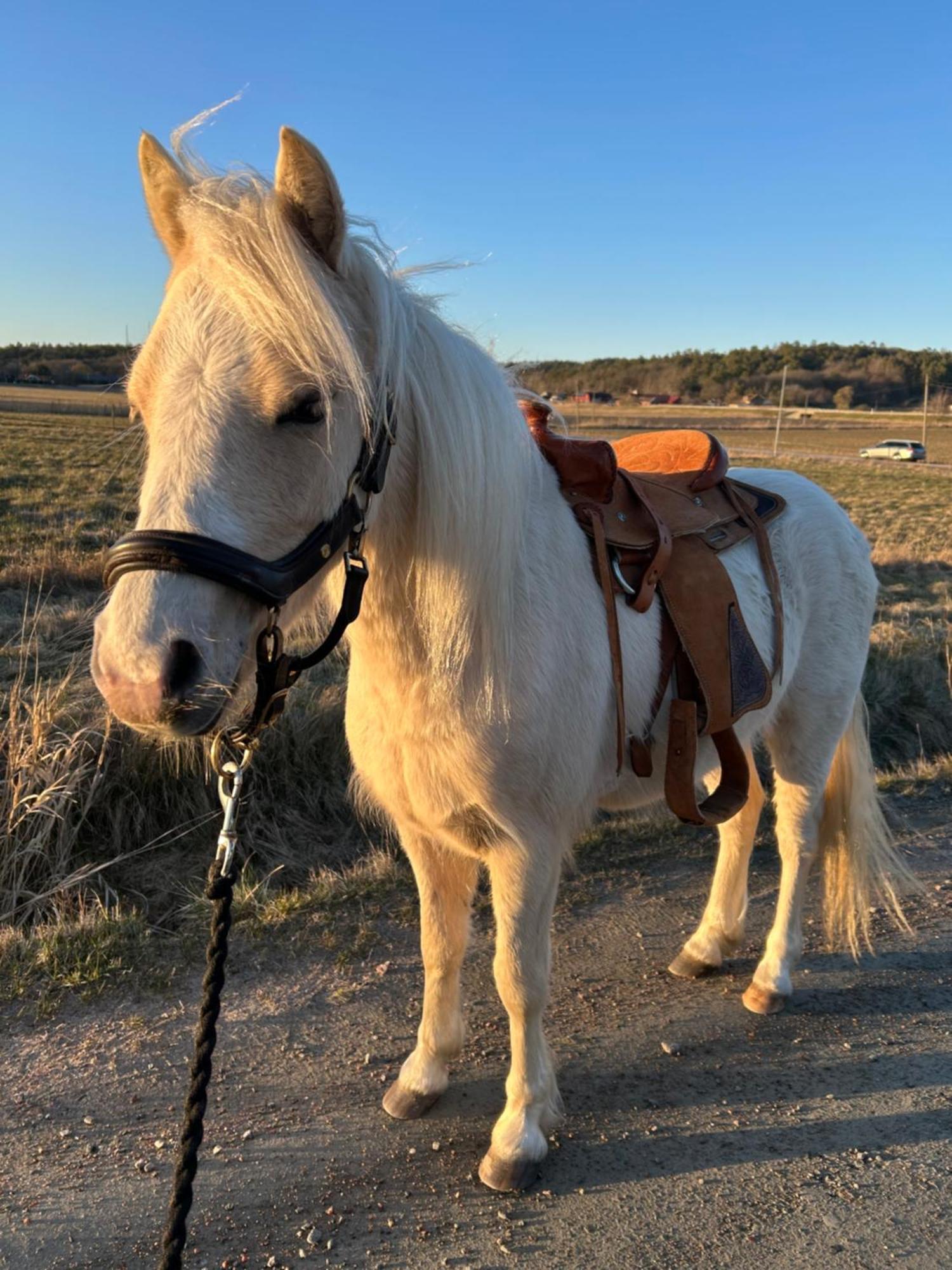 Johannas Ranch Lgh Ovan Stallet Kullavik Dış mekan fotoğraf